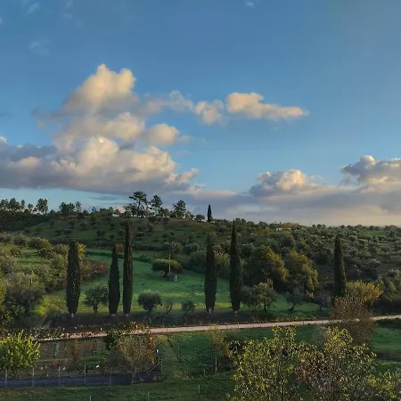 Al Recanto Do Sol Bed & Breakfast Torres Novas