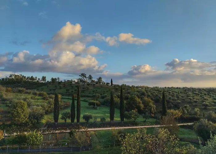 Al Recanto Do Sol 住宿加早餐酒店 托雷斯诺瓦斯